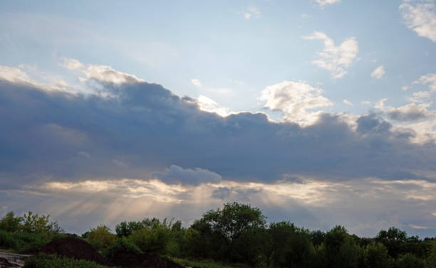 istock Summer landscape. Green grass and trees against the blue sky with clouds. 1168867889