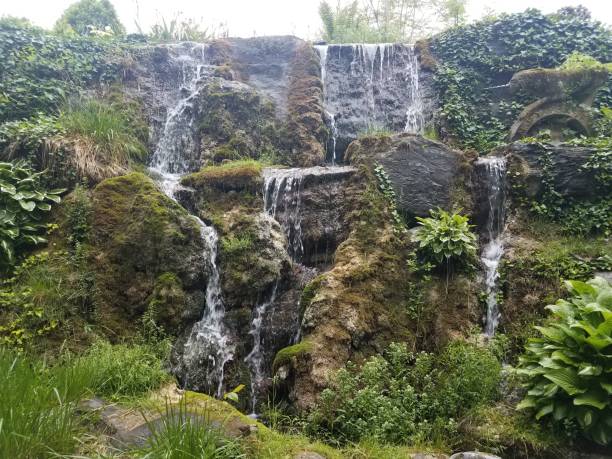 istock rock wall with flowing waterfall and green plants 1168869369