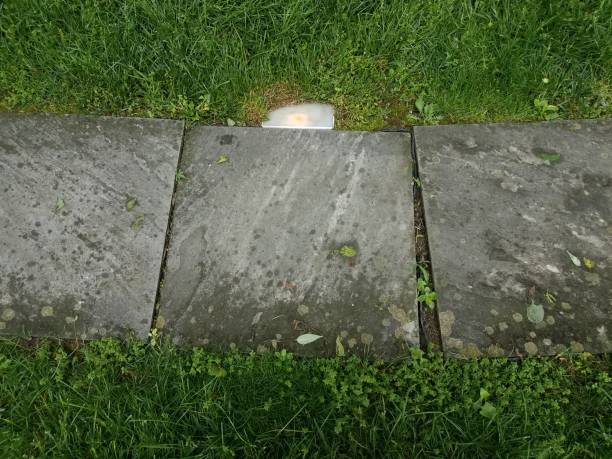 istock grey stone tile with light and lichen and green grass 1168869426