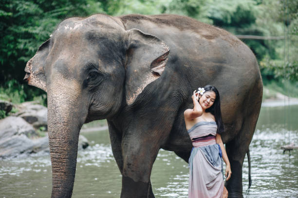 istock Portrait Asian woman enjoying with elephant 1168872635