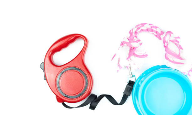istock Pet accessories concept.  Plastic bowl, Leashes and toy on isolated white background. 1168874306