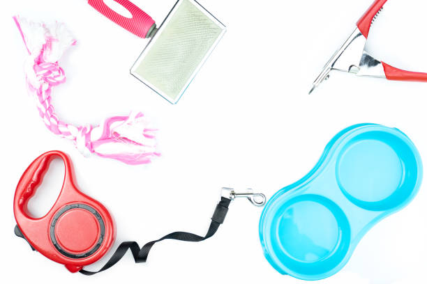 istock Pet accessories concept.  Plastic bowl, Leashes and toy on isolated white background. 1168874355