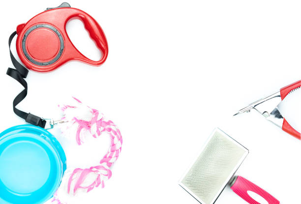 istock Pet accessories concept.  Plastic bowl, Leashes and toy on isolated white background. 1168874377