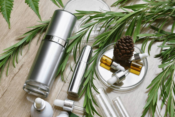 istock Cosmetic bottle containers packaging with green herbal leaves, Blank label for organic branding mock-up, Natural skincare beauty product concept. 1168877513