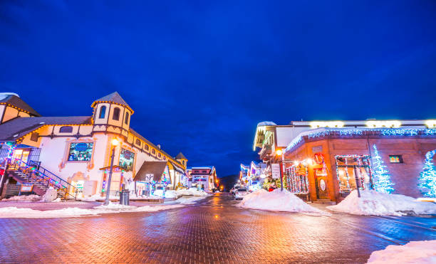 leavenworth,washington,usa.-02/14/16: bellissimo lievito con decorazione dell'illuminazione in inverno. - tree leavenworth snow sky foto e immagini stock