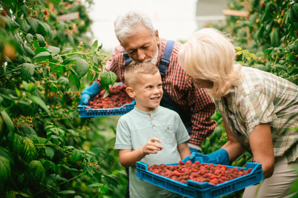 istock Family at raspberry farm 1168878442