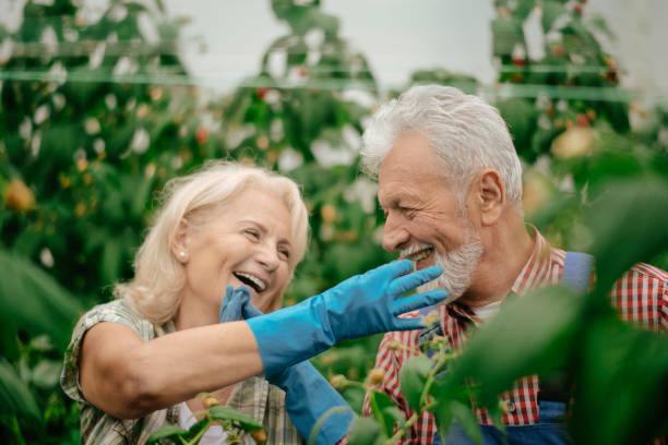 istock Man and wife working at raspberry farm 1168878559