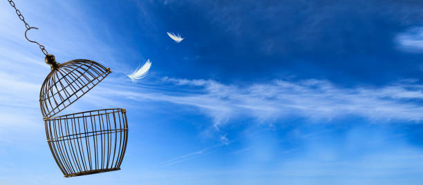istock Freedom concept. Escaping from the cage 1168879406