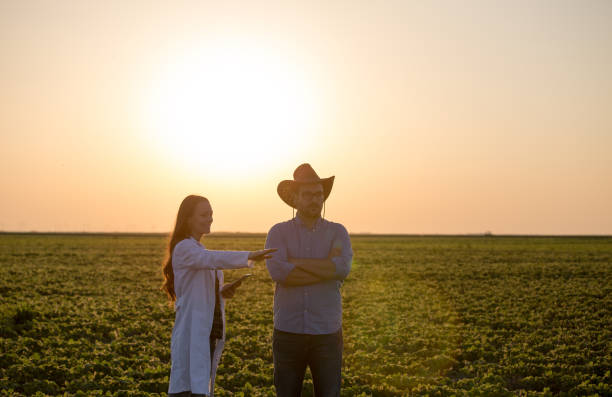 istock Farmer and agronomist talking in field at sunset 1168885013