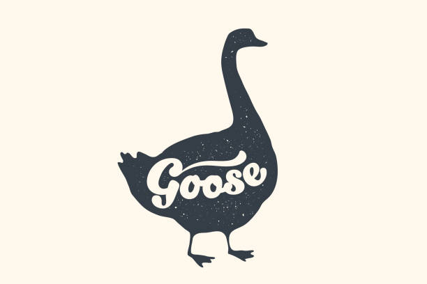 Farm animals set. Isolated goose silhouette and text Goose. Creative graphic design with lettering Goose for butcher shop, farmer market. Poster for animals theme. Vector Illustration