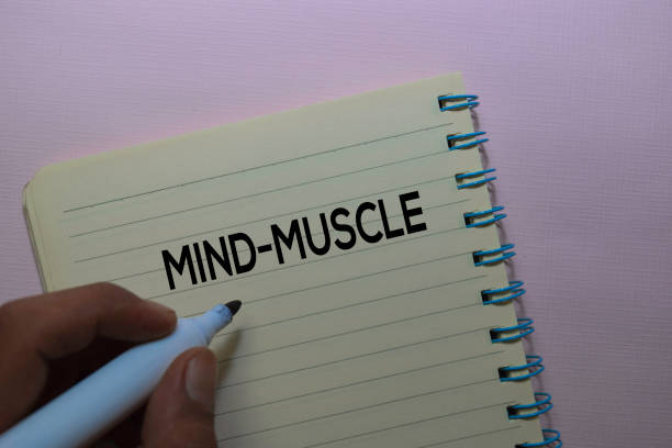 istock Mind-Muscle text on the book isolated on office desk 1168887308