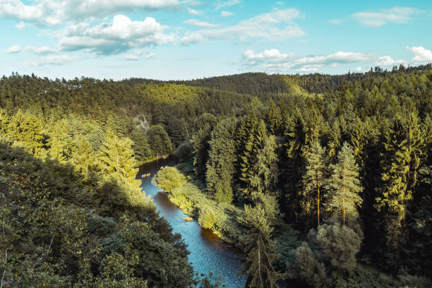 istock Nice summer valley with Vltava river and boat, Czech republic 1168887590