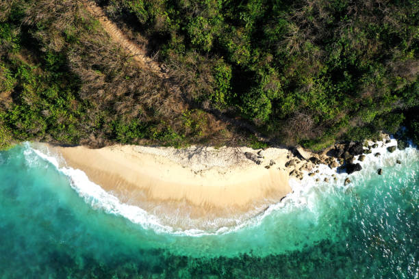 istock Bali Cliff/Green Bowl Beach 1168890554