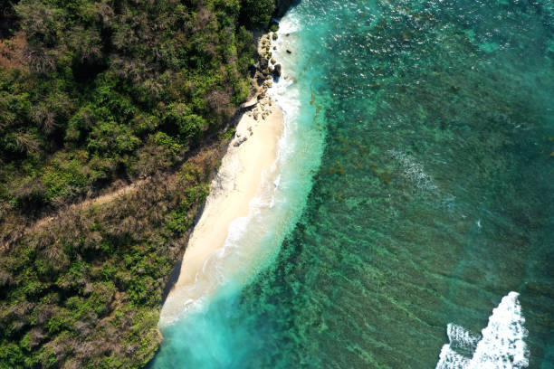istock Bali Cliff Beach/Green Bowl Beach 1168890555