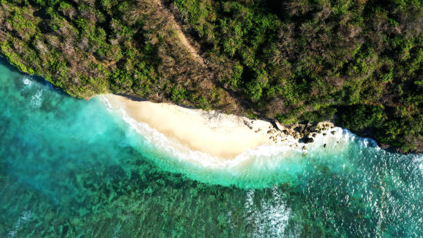 istock Bali Cliff or Green Bowl Beach 1168890611