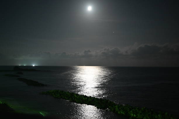 istock coast line akita in mid summer 1168890848
