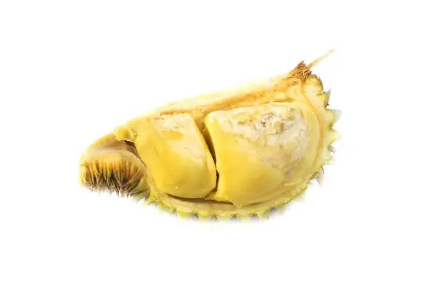 Photo of Durian fruit Famous fruits