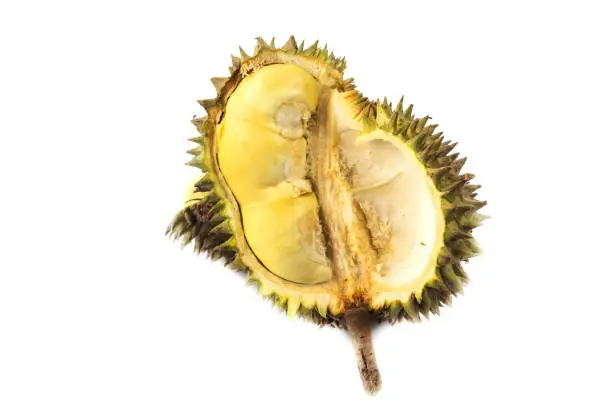 Photo of Durian fruit Famous fruits