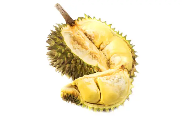 Photo of Durian fruit Famous fruits