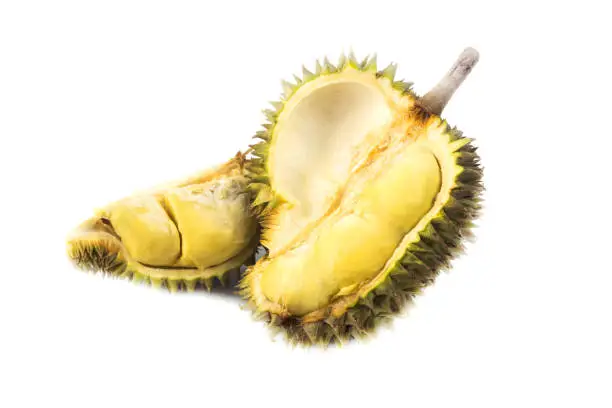 Photo of Durian fruit Famous fruits