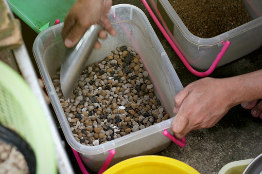 Preparation of gravel for bonsai planting, Bonsai pants concept
