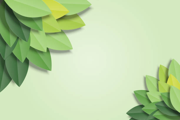 ilustraciones, imágenes clip art, dibujos animados e iconos de stock de marco de hojas verdes sobre fondo verde. ilustración vectorial de estilo de corte de papel origami de moda. - papel ilustraciones