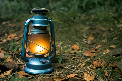 Antique oil lamp inside the forest