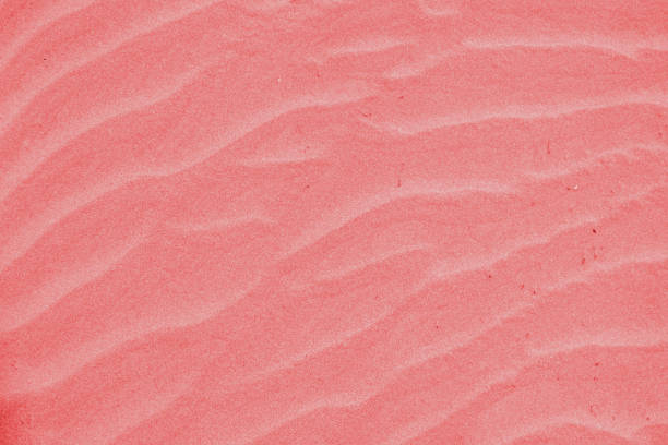 istock The texture of the sandy beach. 1168899427