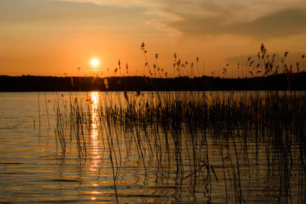 istock Sunset on the lake. 1168899504