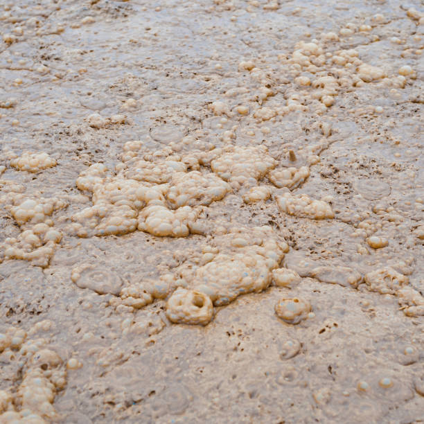 istock dirty waste water in sewage plant 1168900453