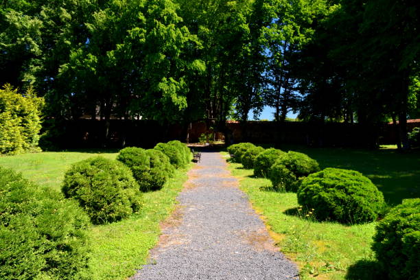 Perfectly maintained public garden with round shrubs on both sides of a long stone path with tall shrubs and lush trees surrounding the scene and wooden benches in the foreground seen in Poland