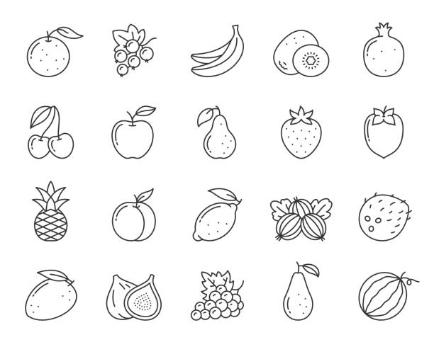 Fruit berry food orange kiwi line icon vector set vector art illustration