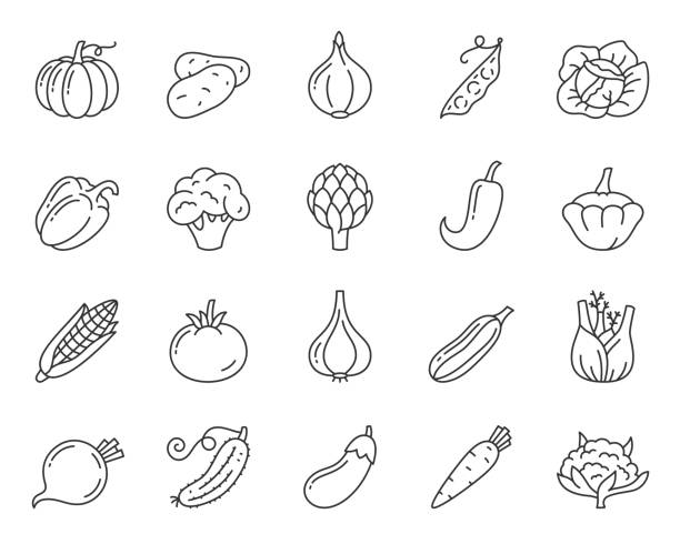 овощная пища просто черная линия значки вектор набор - zucchini stock illustrations