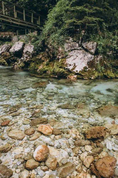 río de montaña transparente limpio salpicaduras piedras de agua - splash mountain fotografías e imágenes de stock
