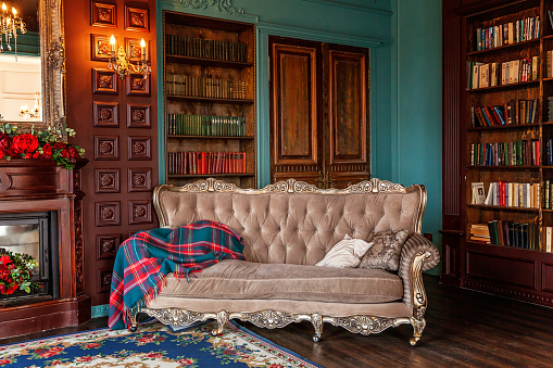 Lujoso interior clásico de la biblioteca casera. Sala de estar con estantería, libros, sillón, sofá y chimenea photo