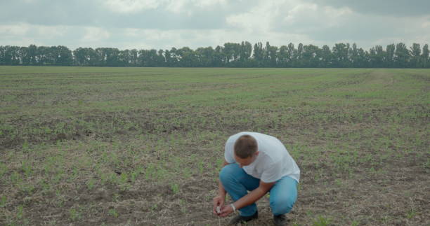istock Biologist or agronomist, takes analyzes in the fields. 1168905544