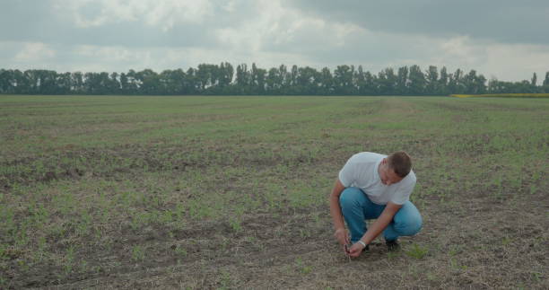istock Biologist or agronomist, takes analyzes in the fields. 1168905589