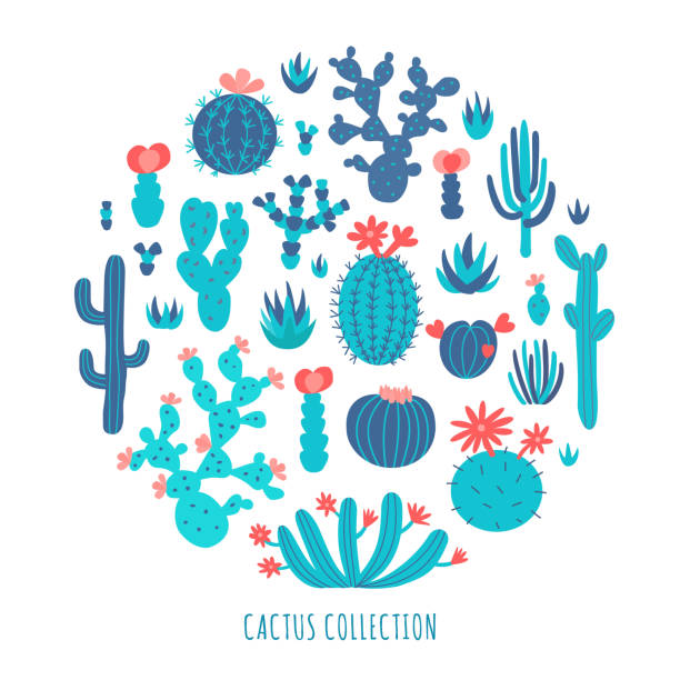 ilustraciones, imágenes clip art, dibujos animados e iconos de stock de suculenta ilustración de conjunto. - cactus blooming southwest usa flower head