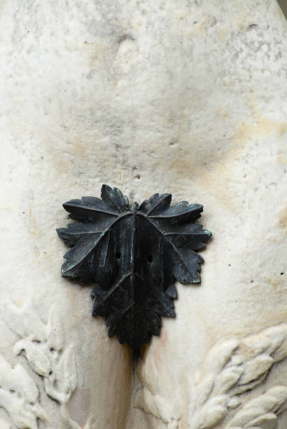 close-up of a marble venice statue with genitalia covered with a black leaf in florence, italy. - mythology marble close up architecture imagens e fotografias de stock