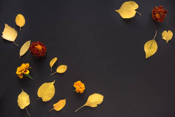 istock Autumn leaves and flowers 1168910633