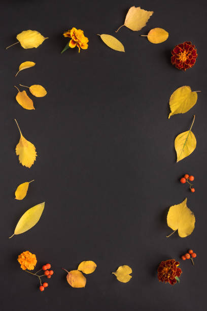istock Autumn leaves and flowers 1168910634