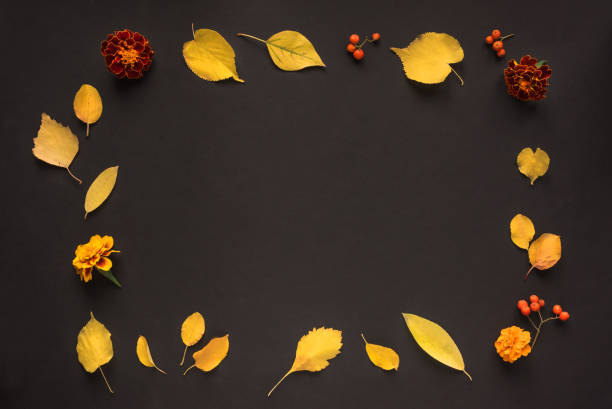 istock Autumn leaves and flowers 1168910775