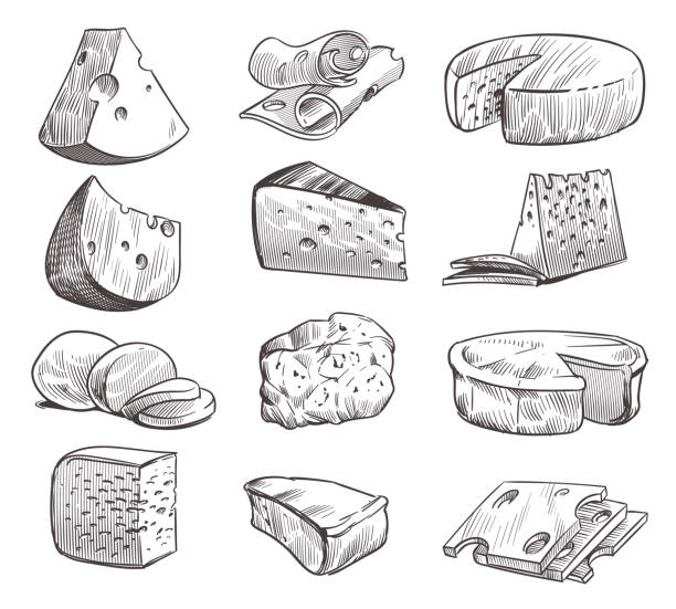 ilustraciones, imágenes clip art, dibujos animados e iconos de stock de esboza queso. varios tipos de quesos. aperitivo fresco de cheddar, feta y lechera parmesano. conjunto aislado de vector retro dibujado a mano - queso