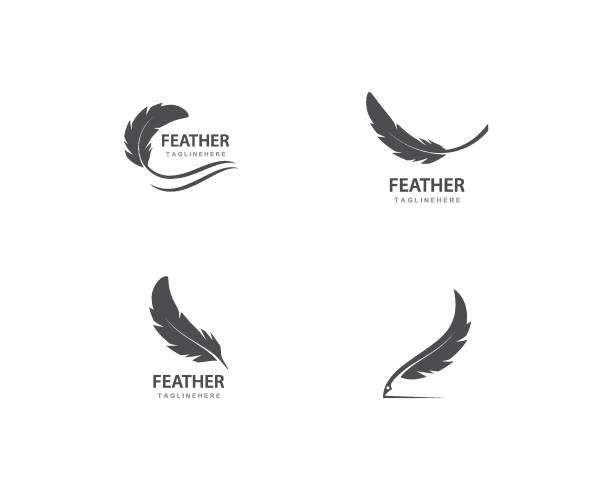 перо вектор - feather stock illustrations