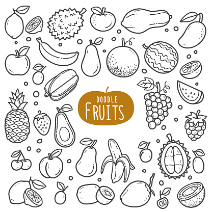 Fruits doodle drawing collection. fruit such as lemonade, watermelon, pineapple, grapes, coconut, durians etc. Hand drawn vector doodle illustrations in black isolated over white background.