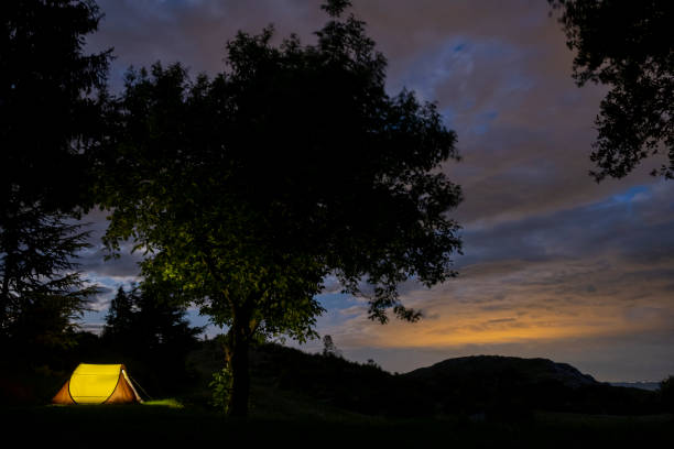 couple is enjoying a relaxing camping trip by a serene lakeside surrounded by lush greenery and forested hills. A pitched tent, folding chairs, and a picnic setup create a cozy outdoor scene, capturing a peaceful moment of leisure and connection with nature.