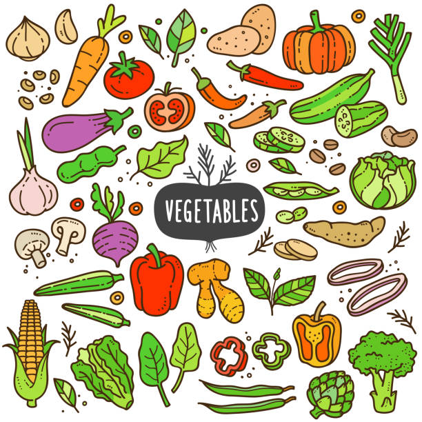 warzywa kreskówka kolor ilustracja - onion vegetable leaf spice stock illustrations