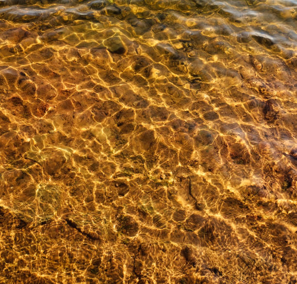 istock Ripples on the water. Water surface. Sun glare on the water. 1168916010