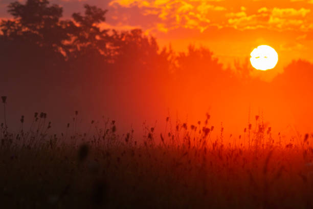 beautiful autumn sunrise in the field, autumn period