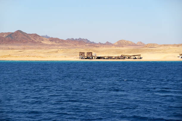istock Desert sandy coast near Sharm El Sheikh, Egypt 1168916322